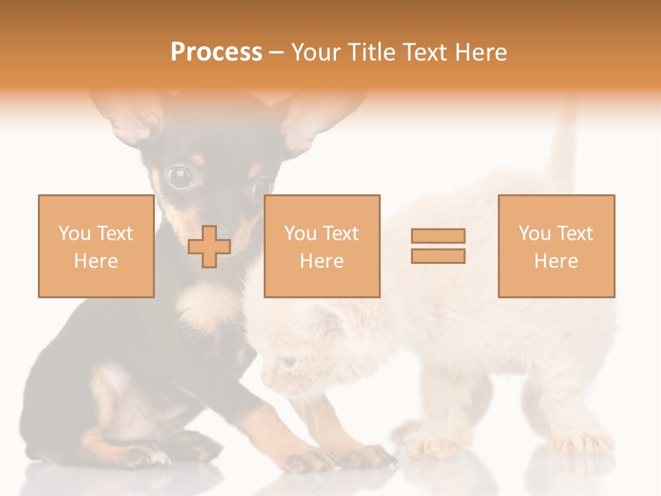 Chihuahua Cat Russian PowerPoint Template