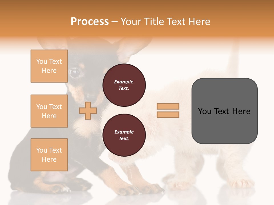 Chihuahua Cat Russian PowerPoint Template