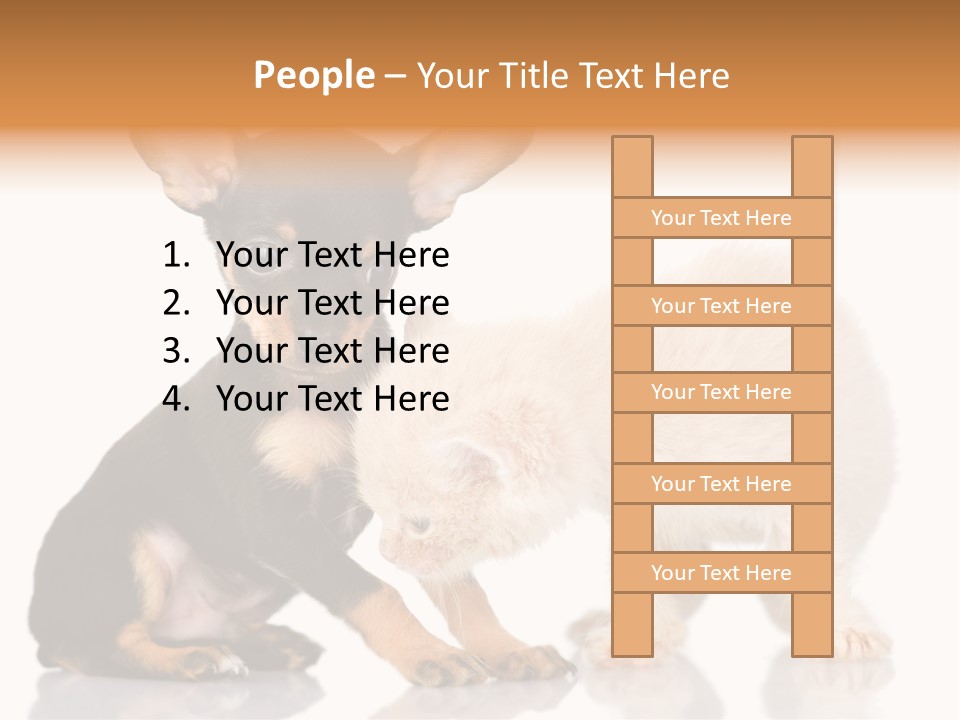 Chihuahua Cat Russian PowerPoint Template