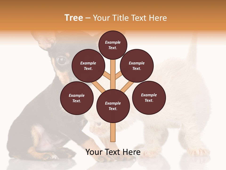 Chihuahua Cat Russian PowerPoint Template