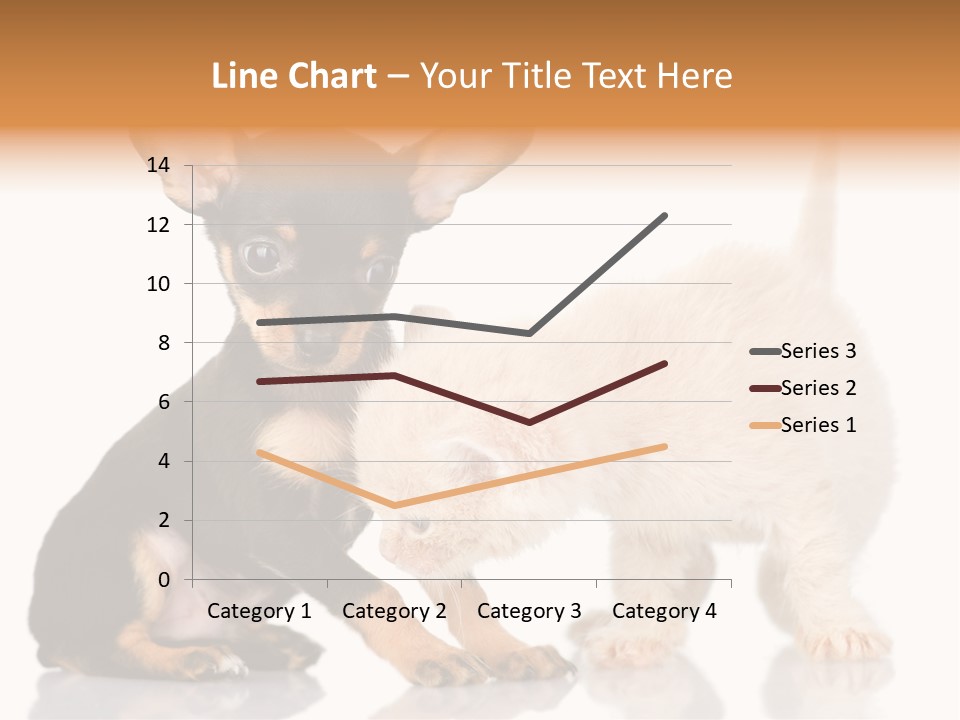 Chihuahua Cat Russian PowerPoint Template