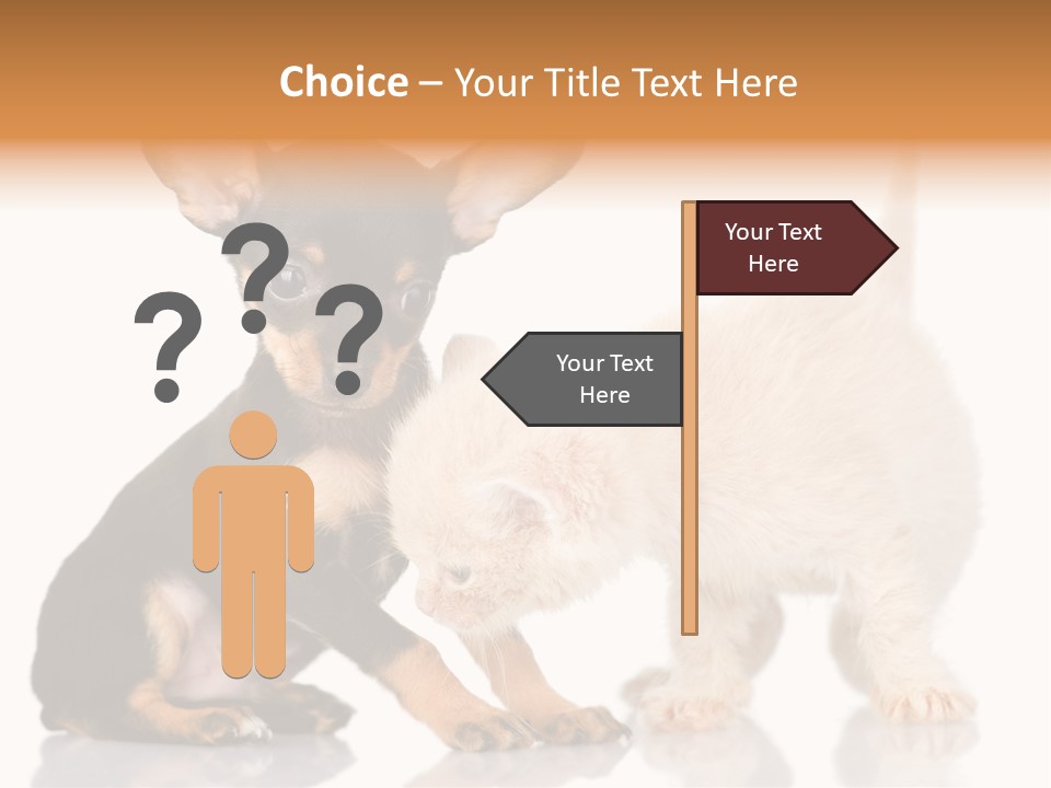 Chihuahua Cat Russian PowerPoint Template