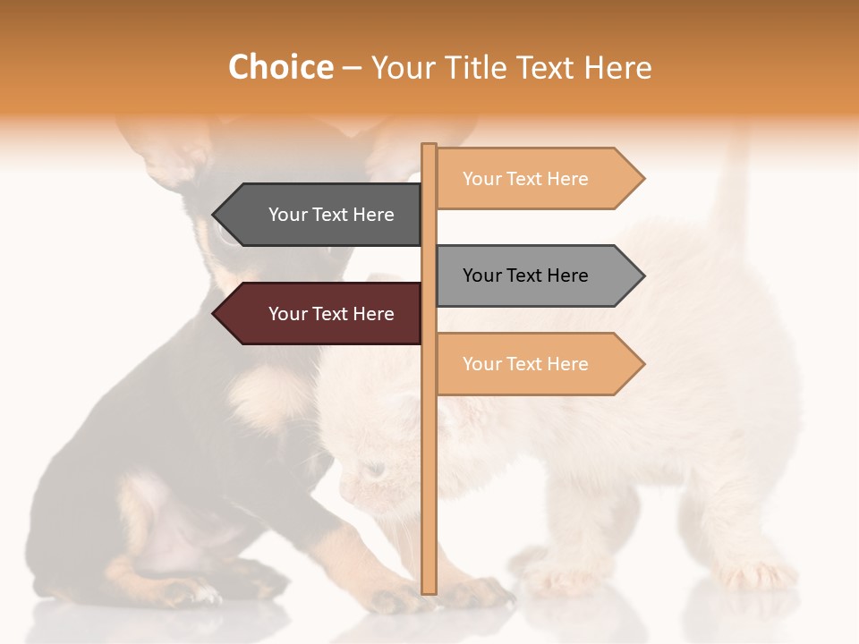 Chihuahua Cat Russian PowerPoint Template