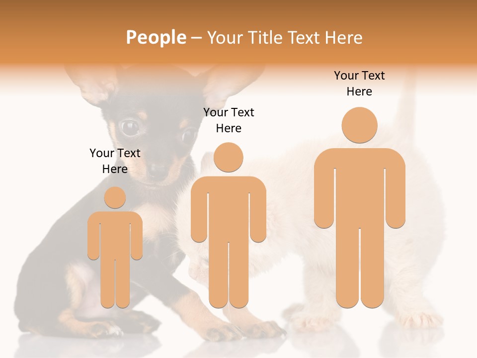 Chihuahua Cat Russian PowerPoint Template