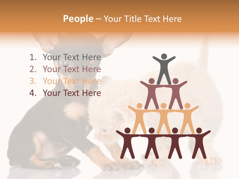 Chihuahua Cat Russian PowerPoint Template