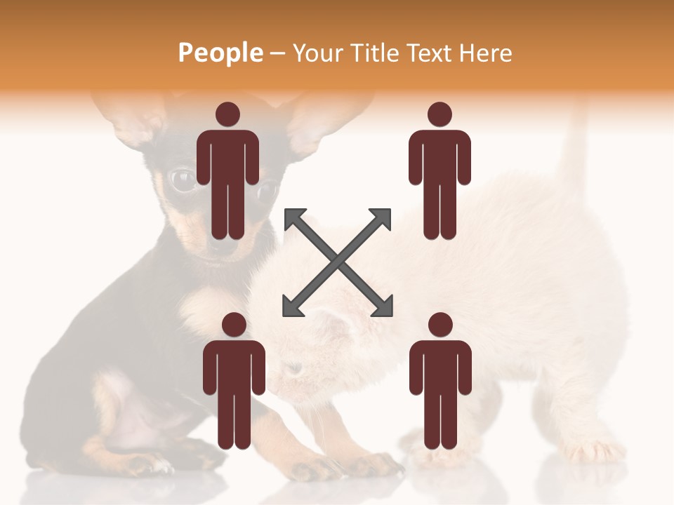Chihuahua Cat Russian PowerPoint Template