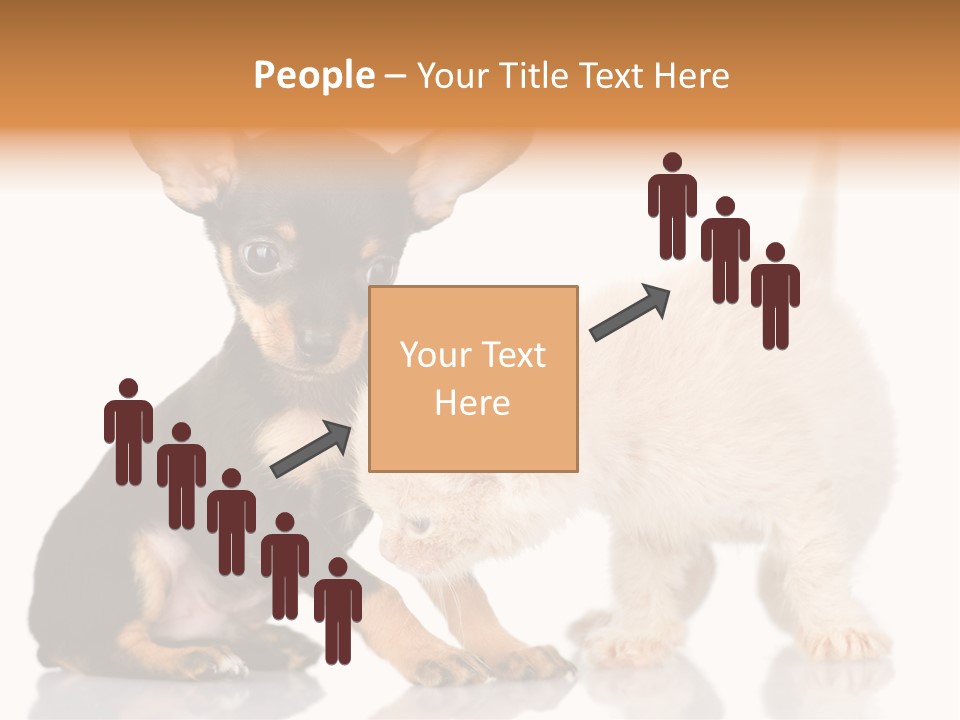 Chihuahua Cat Russian PowerPoint Template