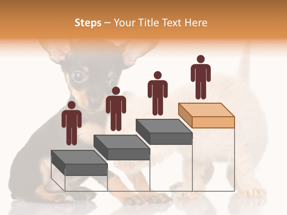 Chihuahua Cat Russian PowerPoint Template