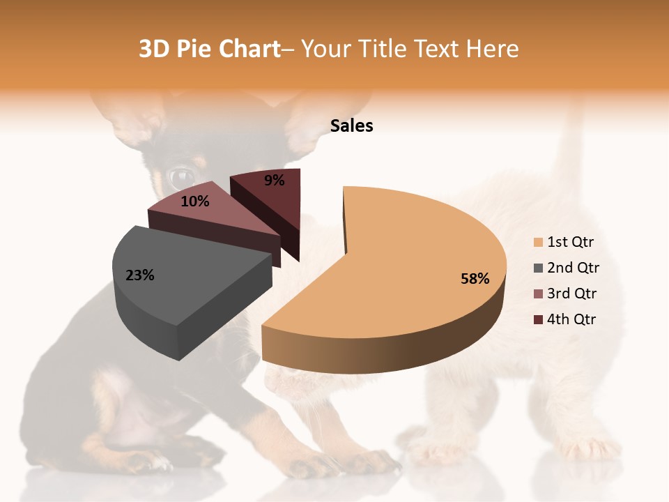 Chihuahua Cat Russian PowerPoint Template