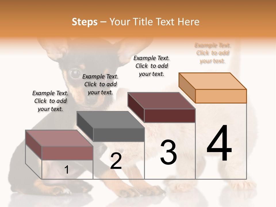 Chihuahua Cat Russian PowerPoint Template