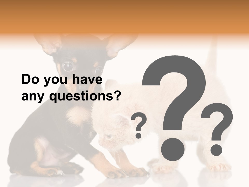 Chihuahua Cat Russian PowerPoint Template