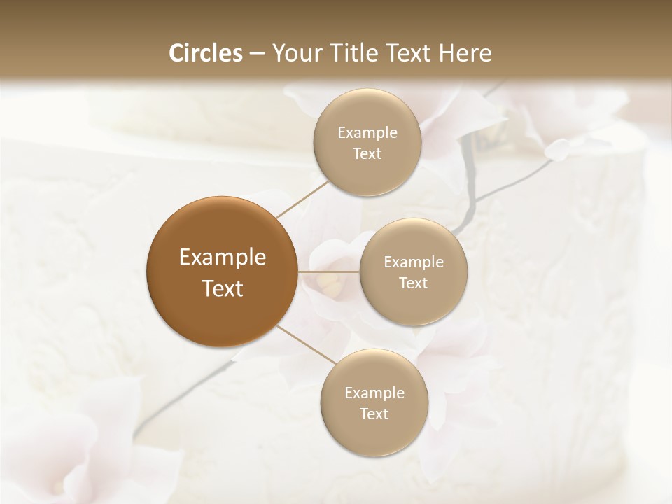 Four Nobody Orchid Flower PowerPoint Template