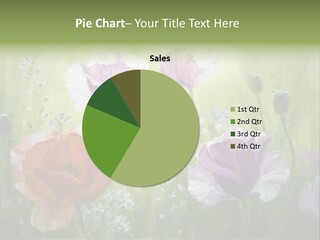 Pink Spring Flowers Oil Painting PowerPoint Template