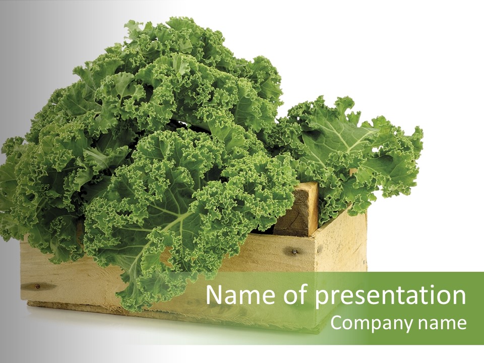 Leaf Vegetable Container Healthy PowerPoint Template