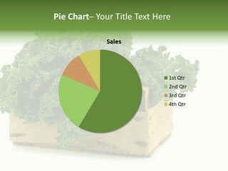 Leaf Vegetable Container Healthy PowerPoint Template