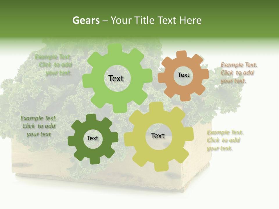 Leaf Vegetable Container Healthy PowerPoint Template