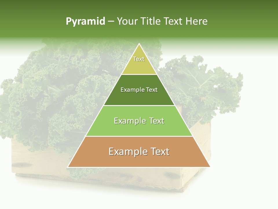 Leaf Vegetable Container Healthy PowerPoint Template