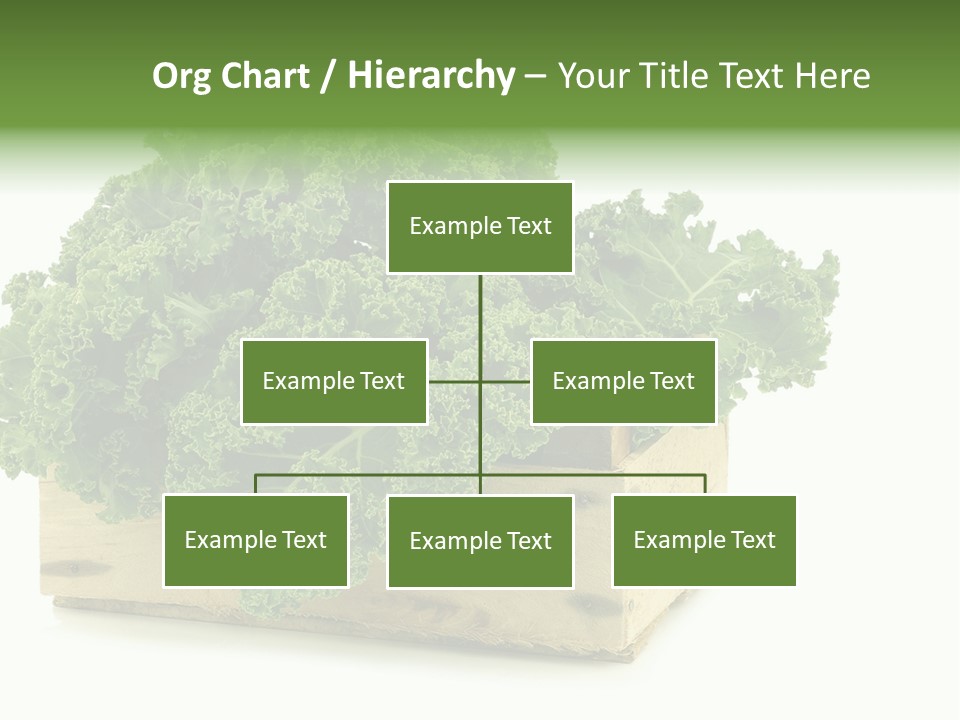 Leaf Vegetable Container Healthy PowerPoint Template