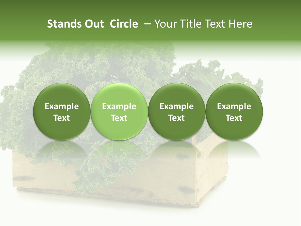 Leaf Vegetable Container Healthy PowerPoint Template