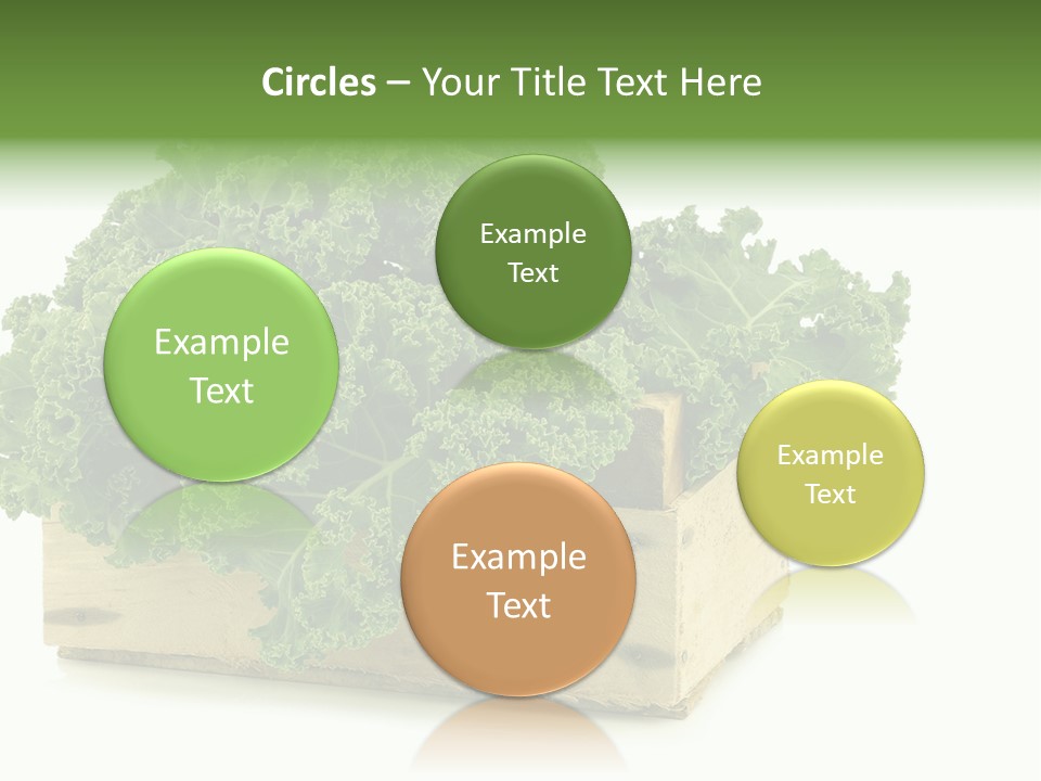 Leaf Vegetable Container Healthy PowerPoint Template