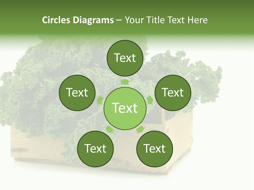 Leaf Vegetable Container Healthy PowerPoint Template