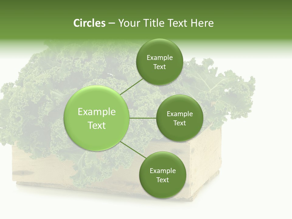 Leaf Vegetable Container Healthy PowerPoint Template