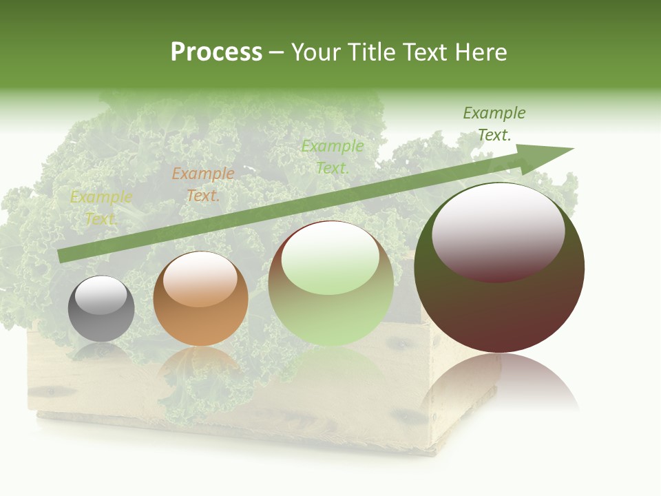 Leaf Vegetable Container Healthy PowerPoint Template