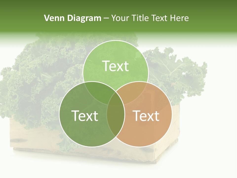 Leaf Vegetable Container Healthy PowerPoint Template
