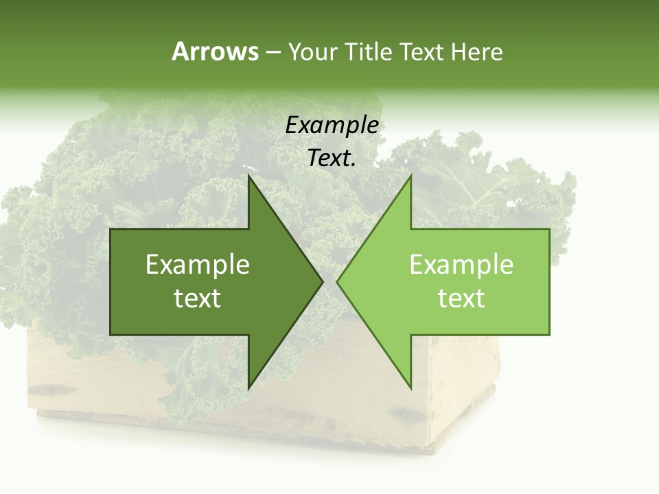 Leaf Vegetable Container Healthy PowerPoint Template