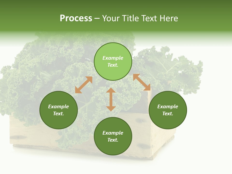 Leaf Vegetable Container Healthy PowerPoint Template