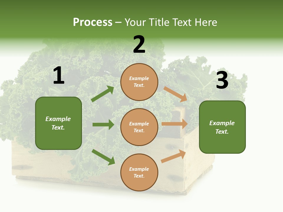 Leaf Vegetable Container Healthy PowerPoint Template