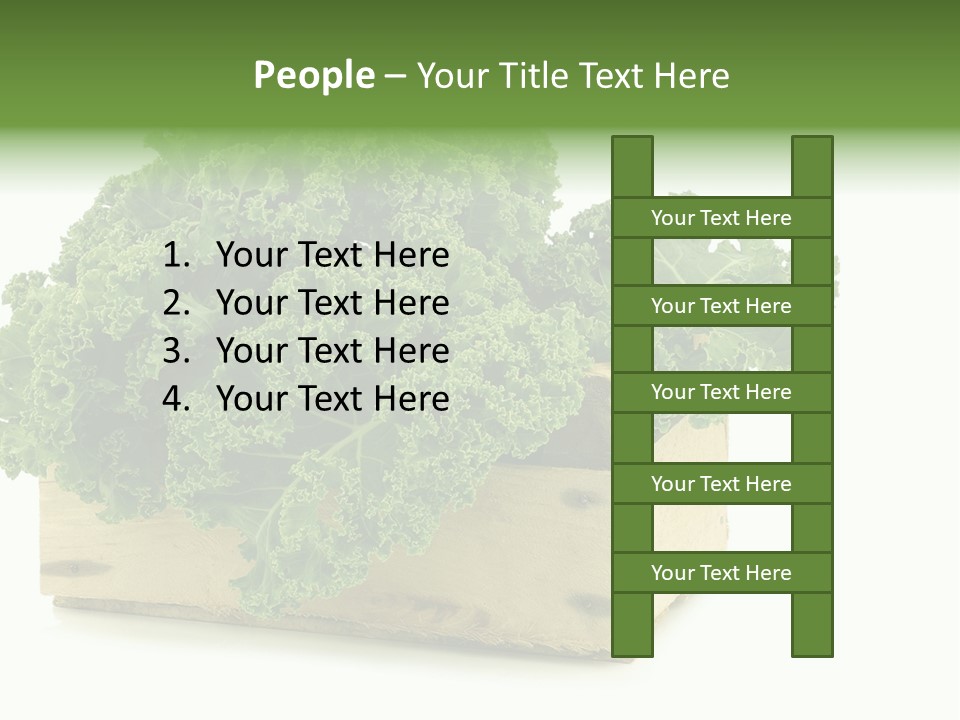 Leaf Vegetable Container Healthy PowerPoint Template