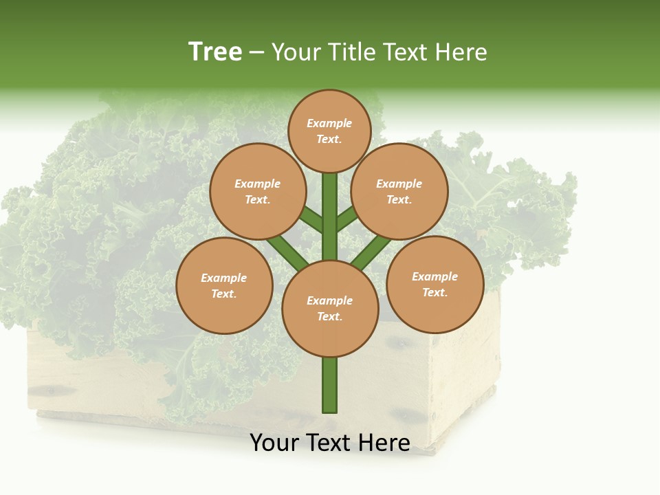 Leaf Vegetable Container Healthy PowerPoint Template