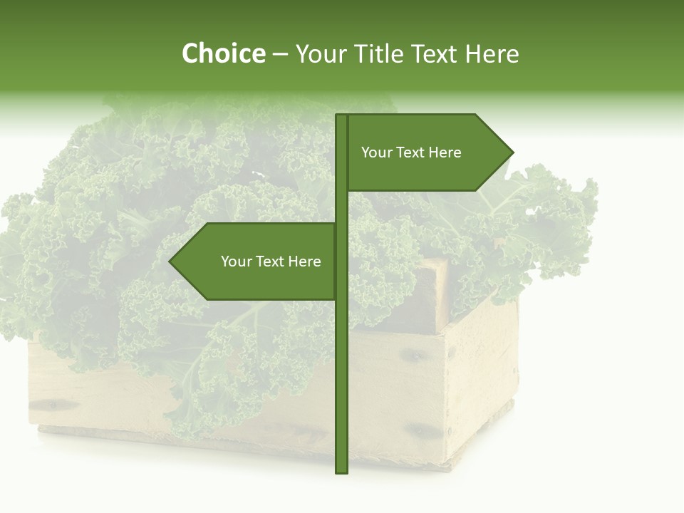 Leaf Vegetable Container Healthy PowerPoint Template