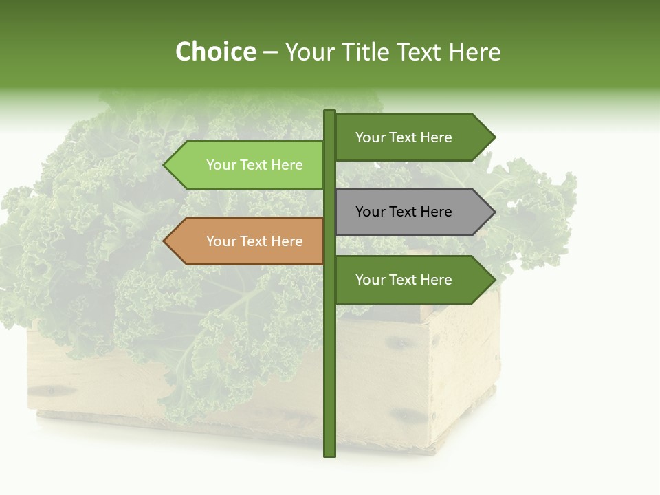 Leaf Vegetable Container Healthy PowerPoint Template