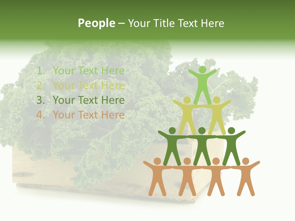 Leaf Vegetable Container Healthy PowerPoint Template