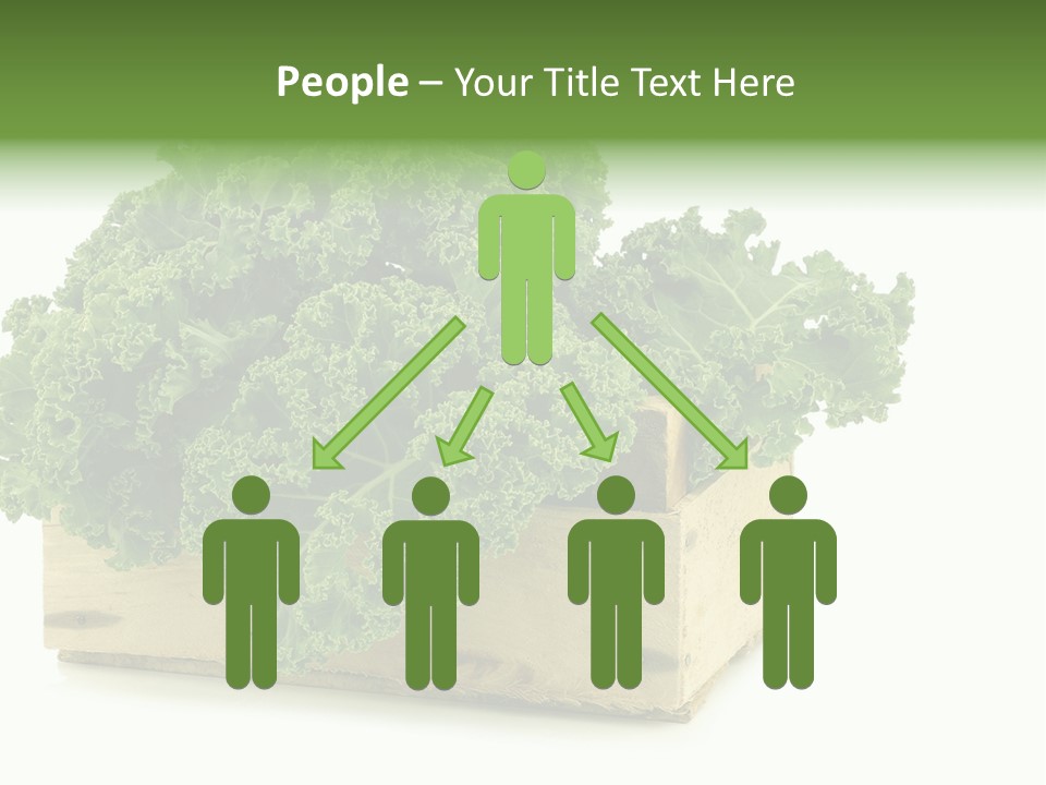 Leaf Vegetable Container Healthy PowerPoint Template