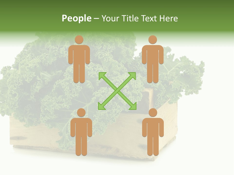 Leaf Vegetable Container Healthy PowerPoint Template