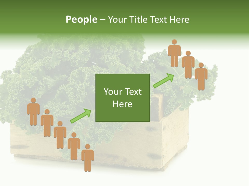 Leaf Vegetable Container Healthy PowerPoint Template