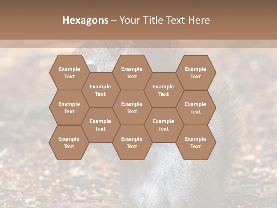 Wildlife Wood One PowerPoint Template