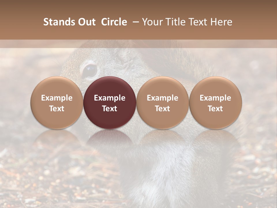 Wildlife Wood One PowerPoint Template