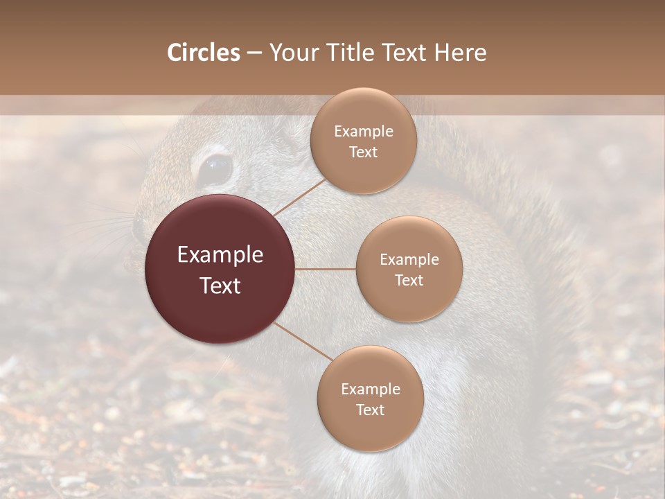 Wildlife Wood One PowerPoint Template