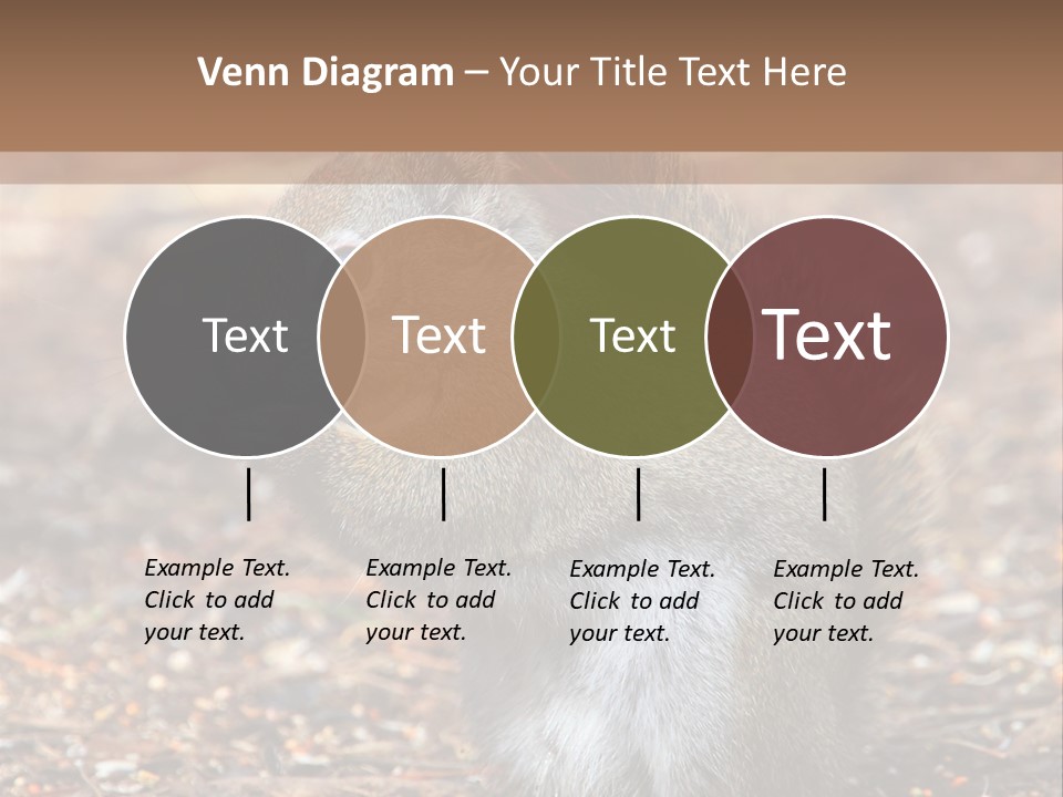 Wildlife Wood One PowerPoint Template