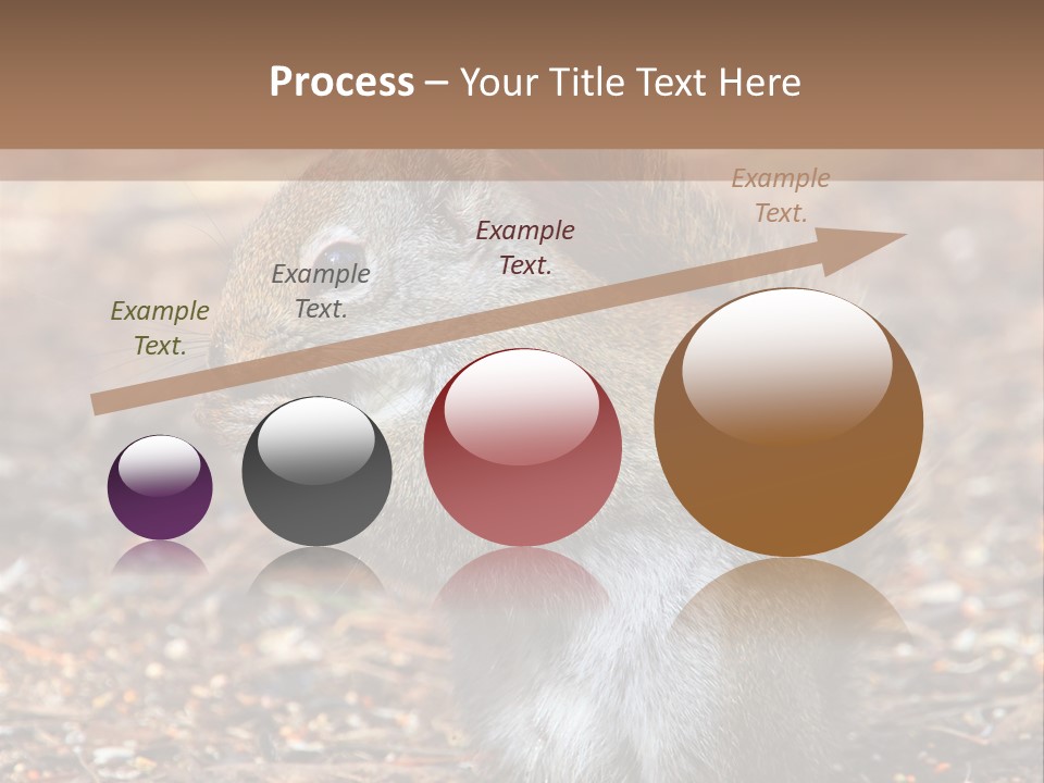 Wildlife Wood One PowerPoint Template