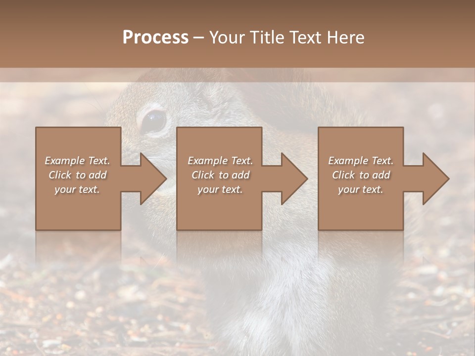 Wildlife Wood One PowerPoint Template