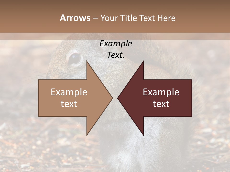 Wildlife Wood One PowerPoint Template