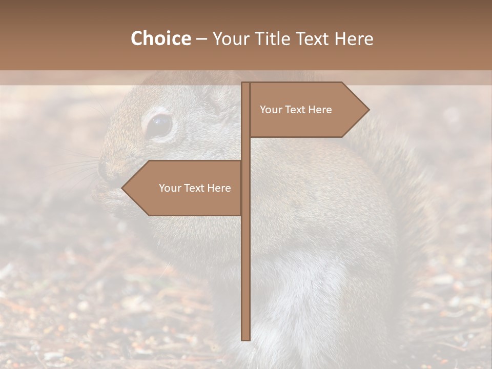 Wildlife Wood One PowerPoint Template