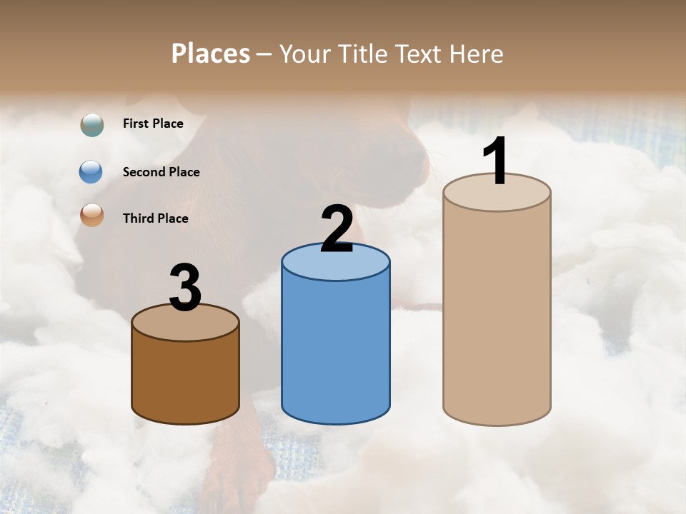 A Brown Dog Sitting On Top Of A Pile Of Cotton PowerPoint Template