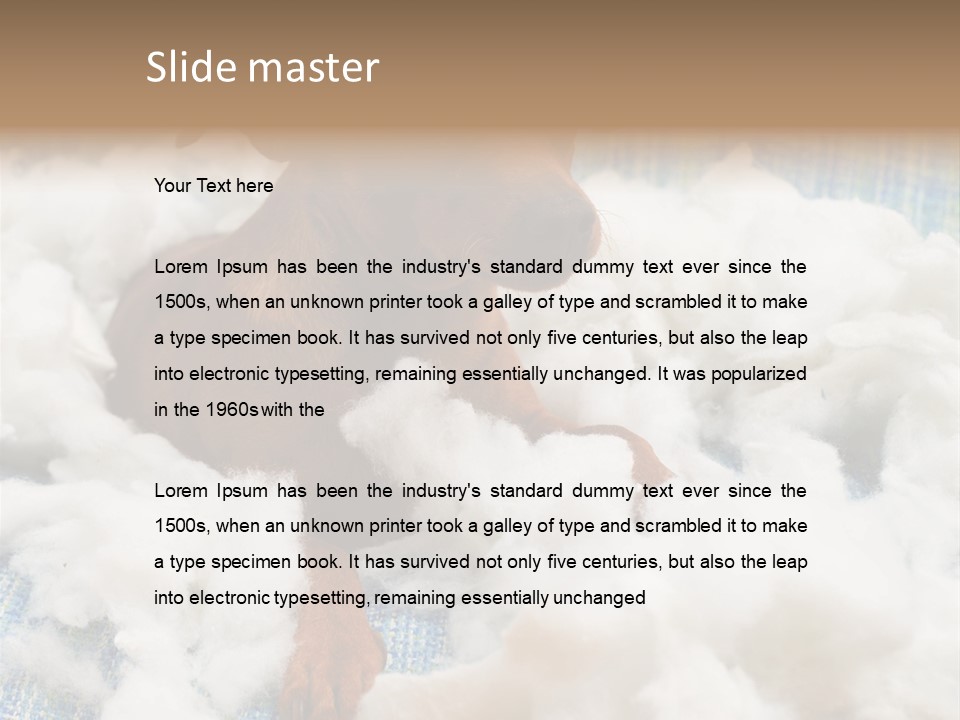 A Brown Dog Sitting On Top Of A Pile Of Cotton PowerPoint Template