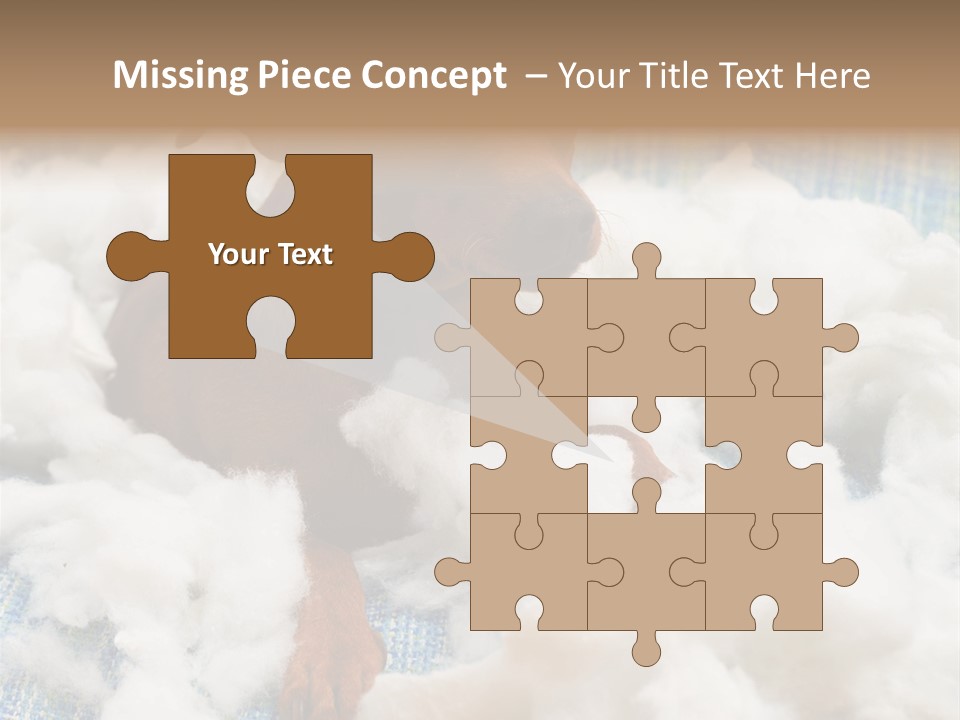 A Brown Dog Sitting On Top Of A Pile Of Cotton PowerPoint Template